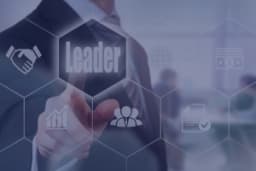 Leadership Strategy and Coaching for Emerging Leaders