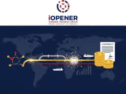 Revenue Management & Optimization Strategies